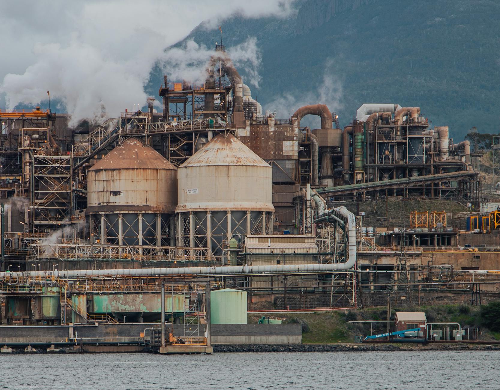 Why Zinc Supplementation Is Not a Simple Fix for Dementia