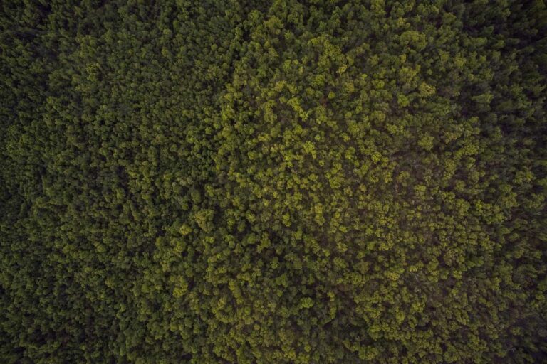 10 Signs Your Back Pain May Be Caused by a Bulging Disc Rather Than Muscle Strain - Featured image