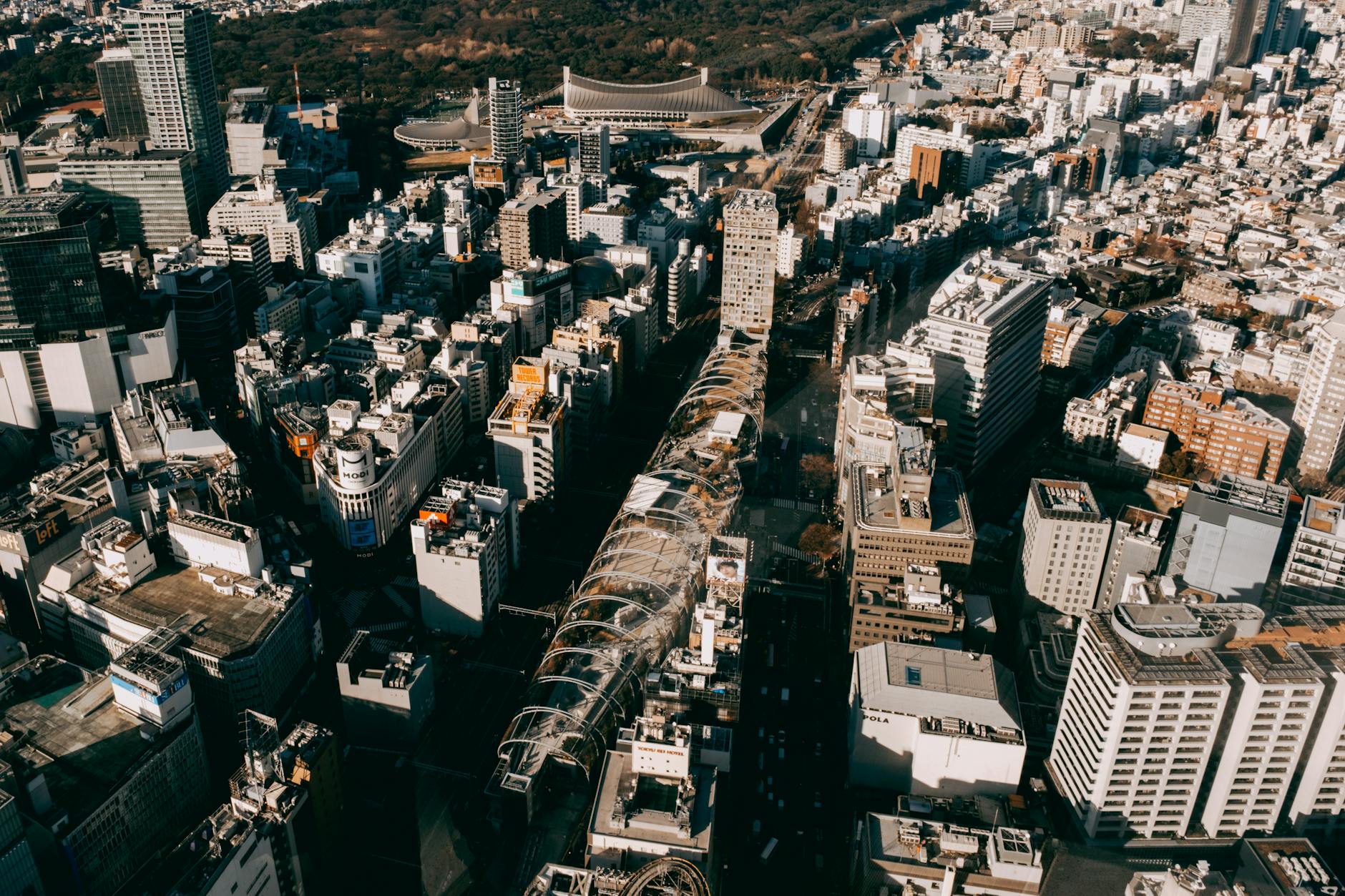 A Global Approval Disparity—What the US and Japan Have Done Differently