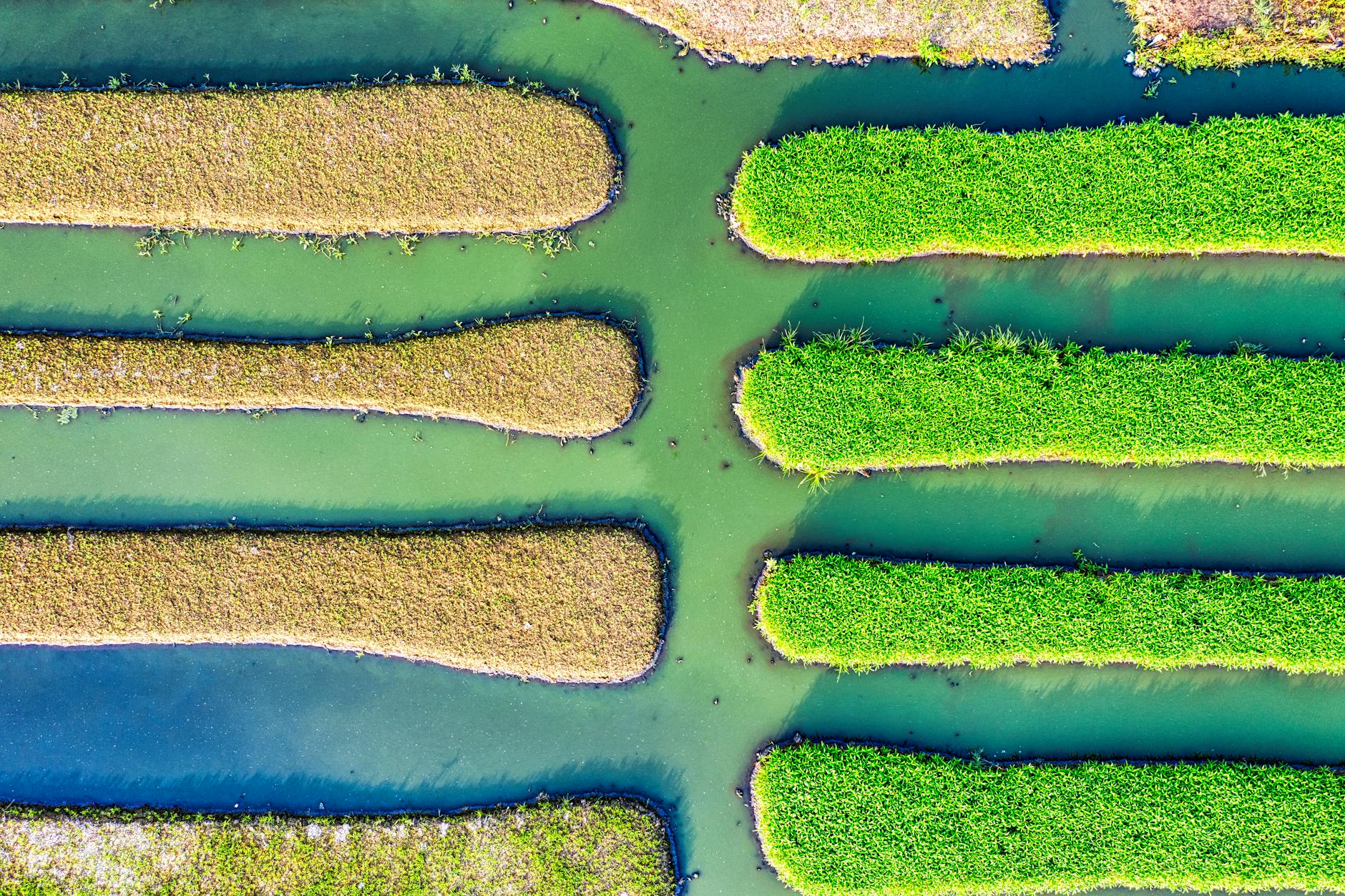 Aquaporins and Water Channel Proteins—The Missing Link in Skin Hydration