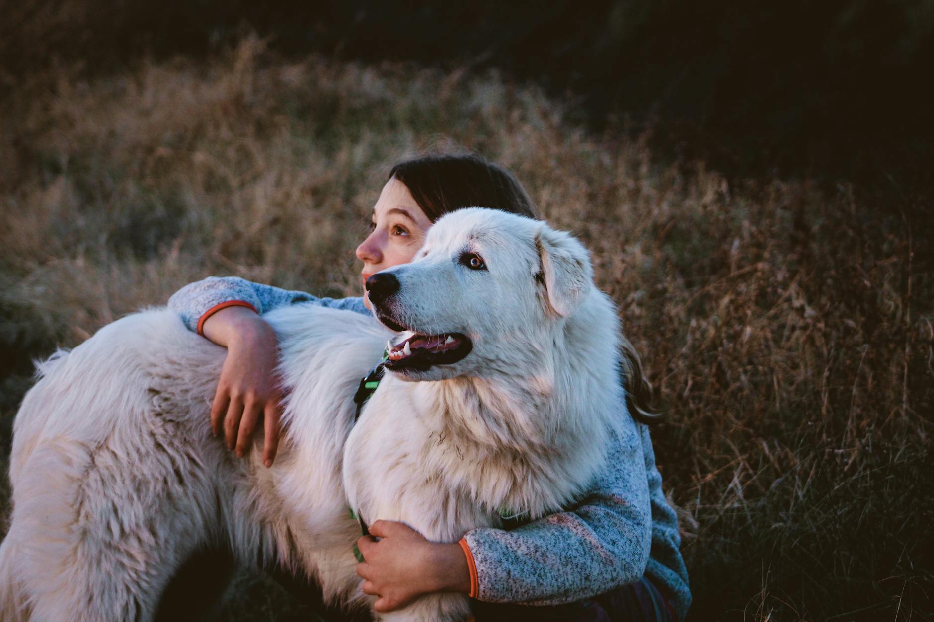 Bird-Dog Holds for Spinal Stability and Balance