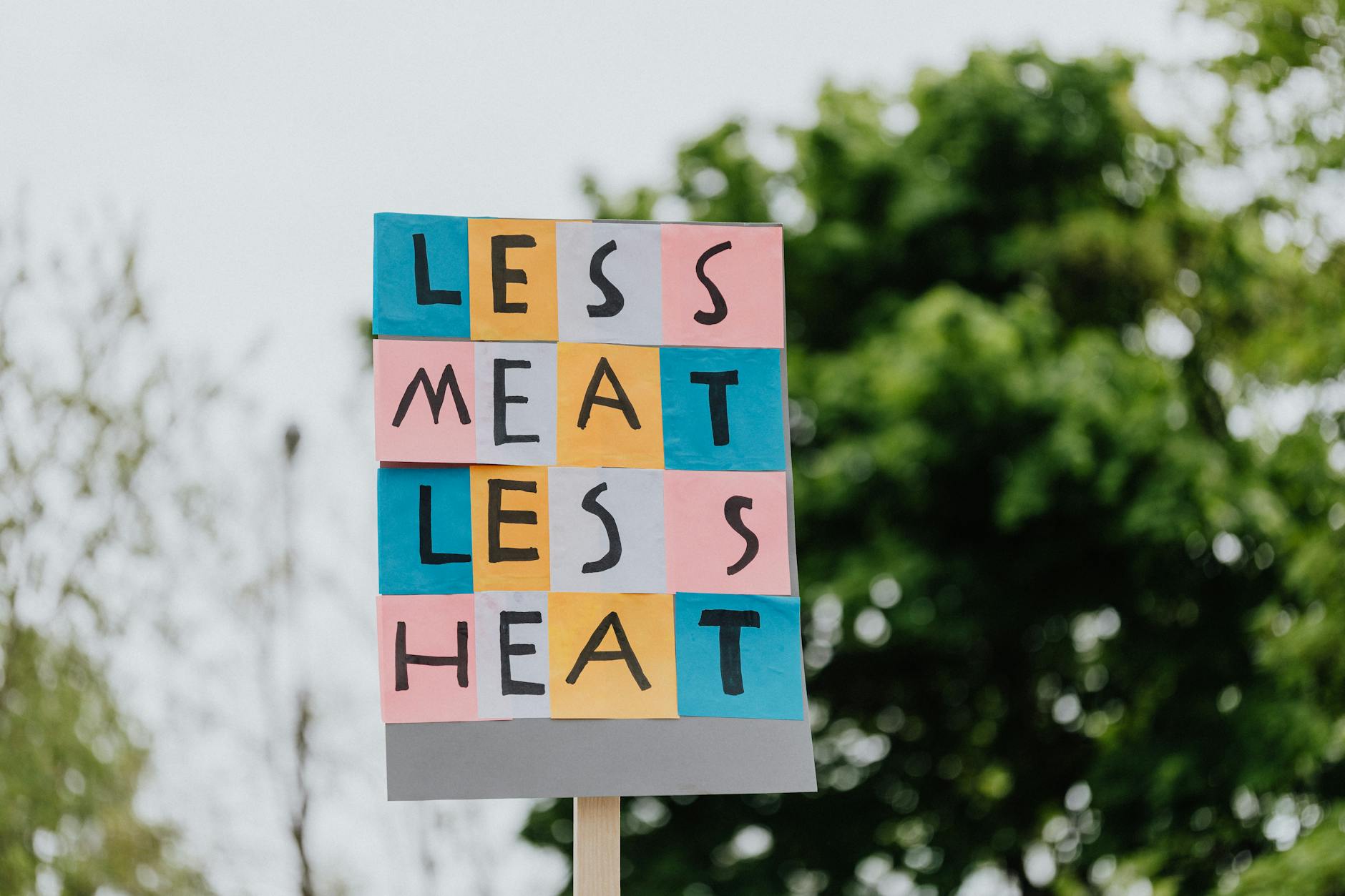 Brown, Blue, and Green — The Less Expected Colors