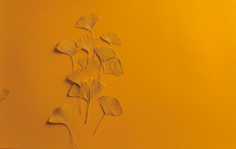 Can ginkgo biloba actually improve memory what research says - Featured image