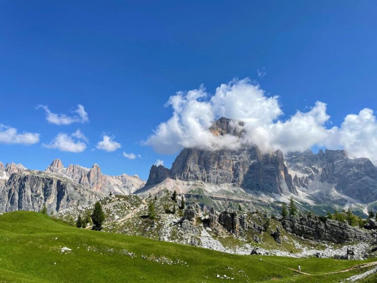 Claritin vs. Zyrtec vs. Allegra: Allergists Finally Pick a Winner - Featured image