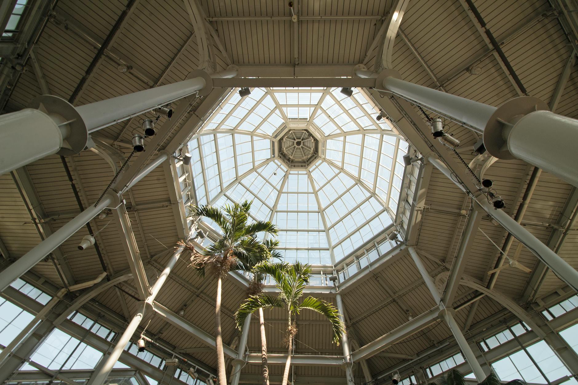 Clozapine in Dementia Care and Lewy Body Dementia