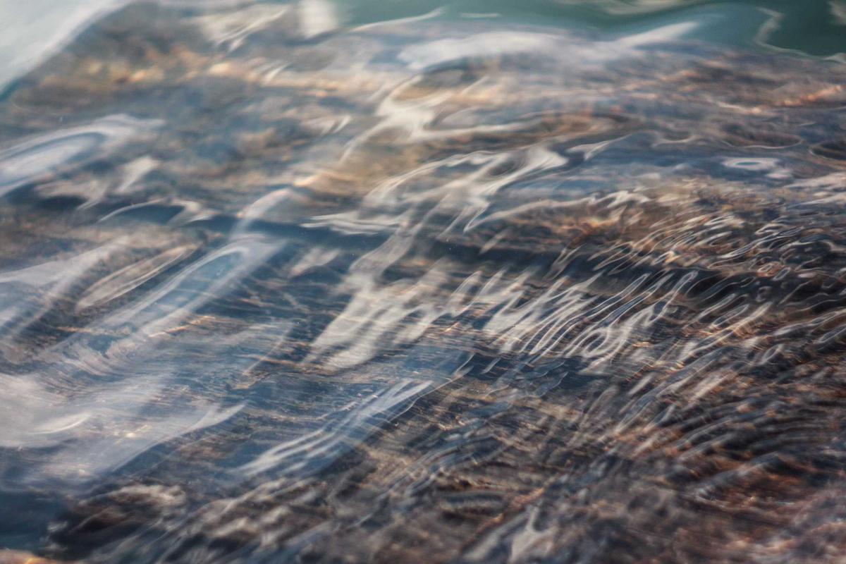 Common Mistakes and Limitations of Bird Dog