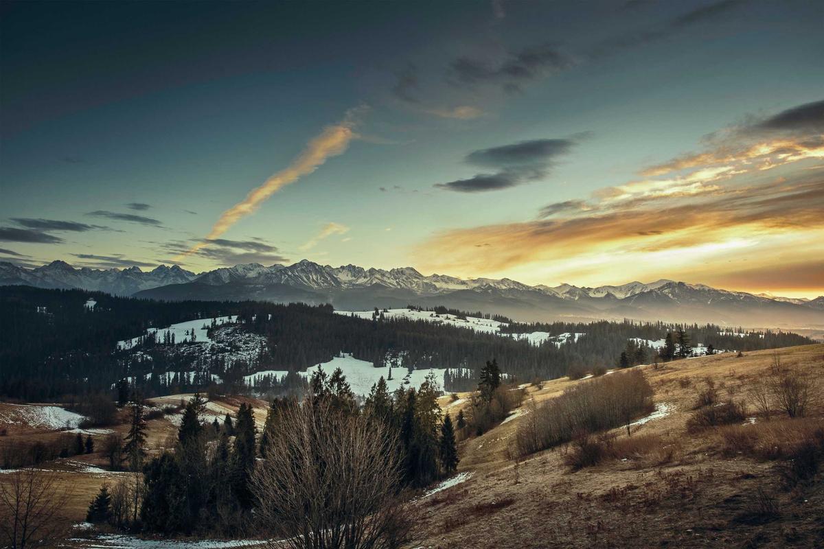 Cremation Versus Traditional Burial: A Real-World Comparison
