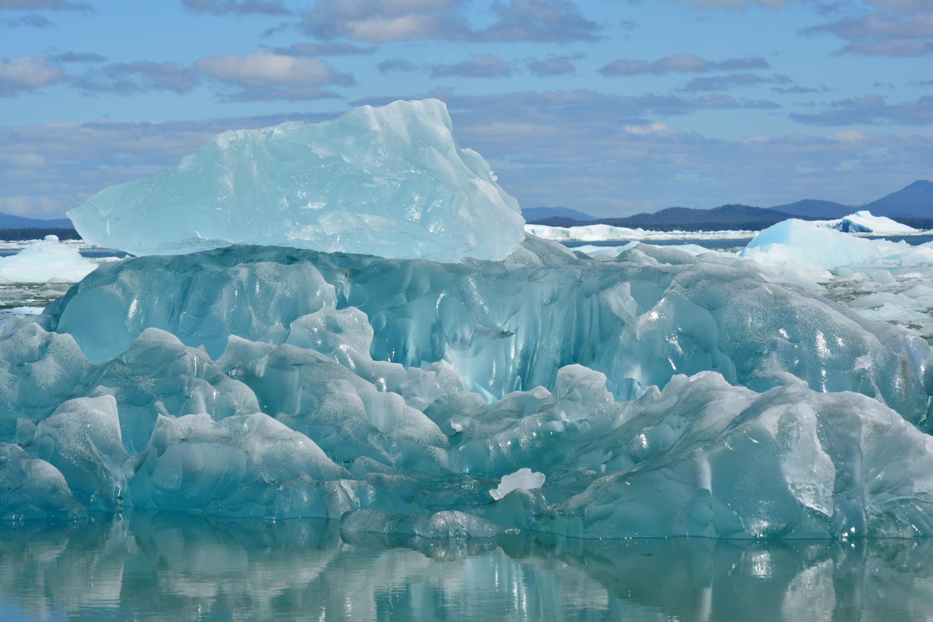 Does Cold Water Swimming Protect Your Brain as You Age?