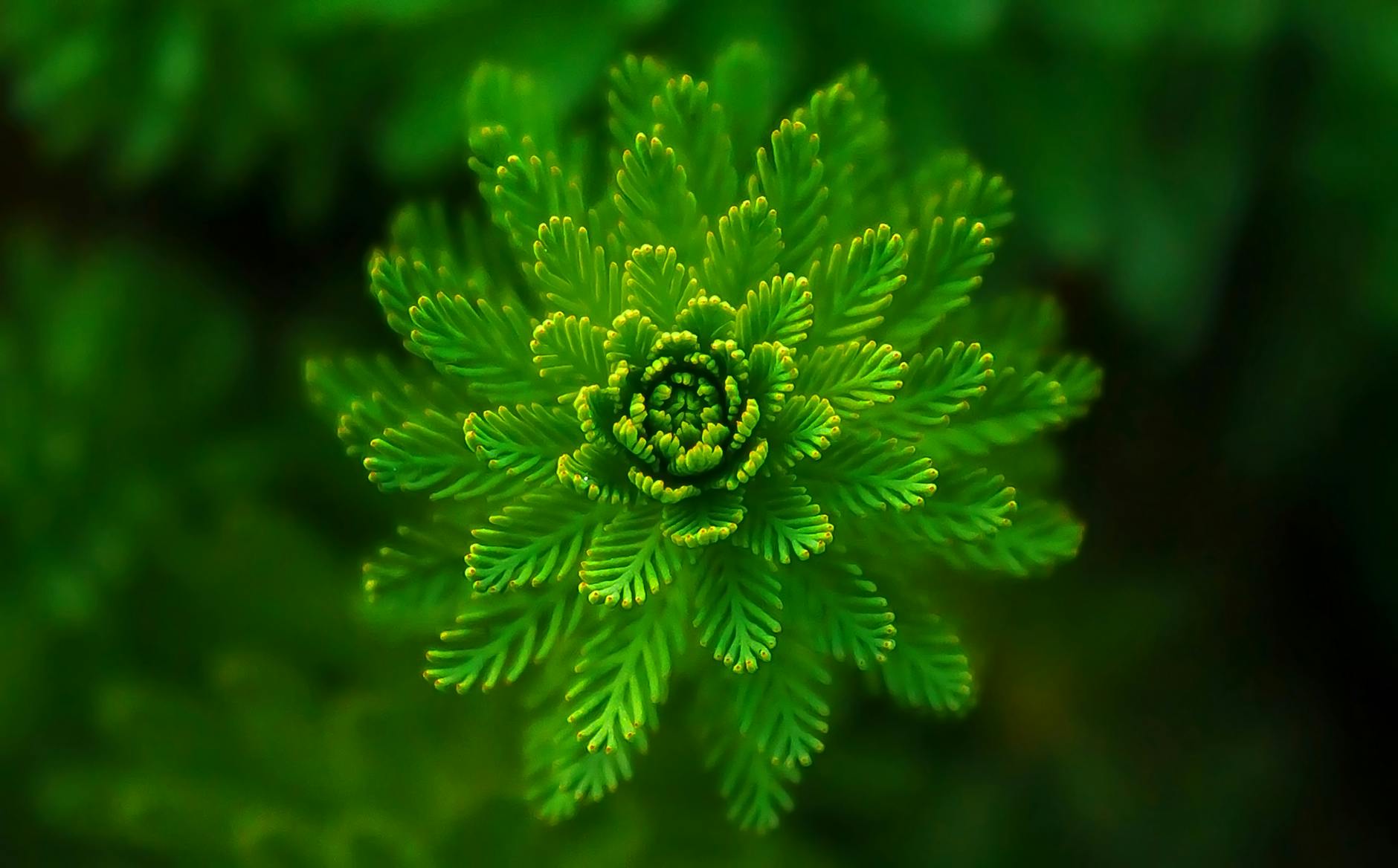 Environmental and Behavioral Transformation Through Proper Positioning