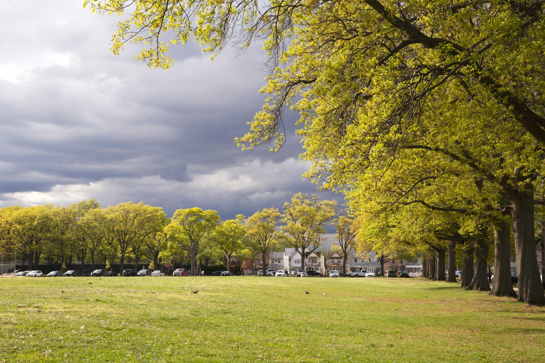 ETD001 — A New Approach to Rehydrating CF Airways