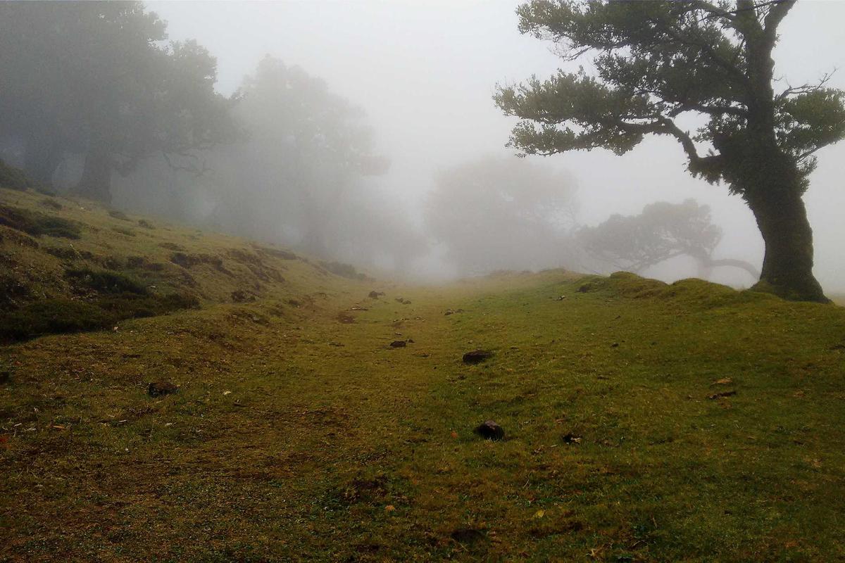 Failed-Back Surgery Syndrome and Revision Surgery Rates