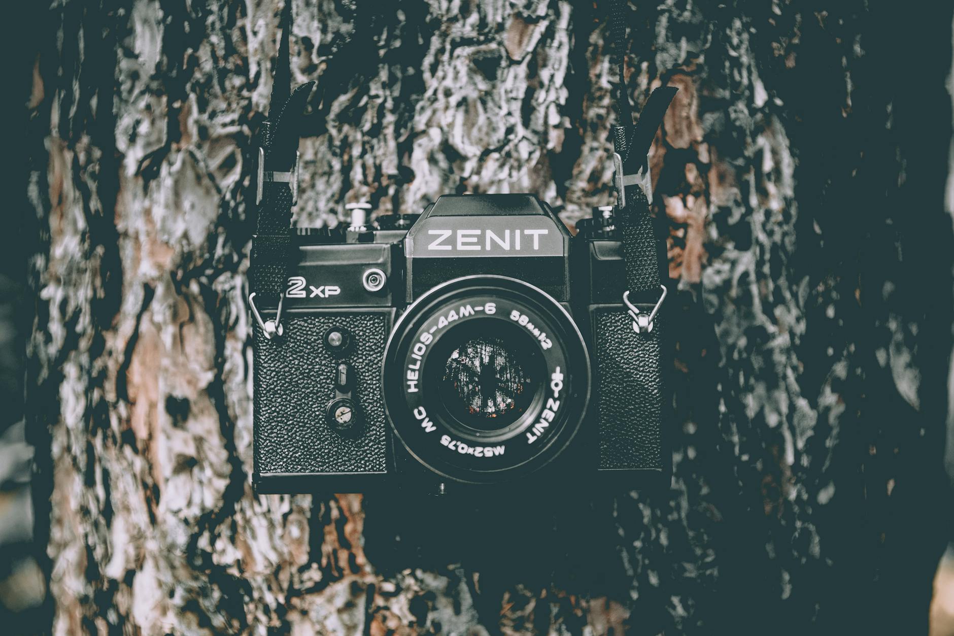 Gene Silencing Approaches and the HELIOS-B Trial Results