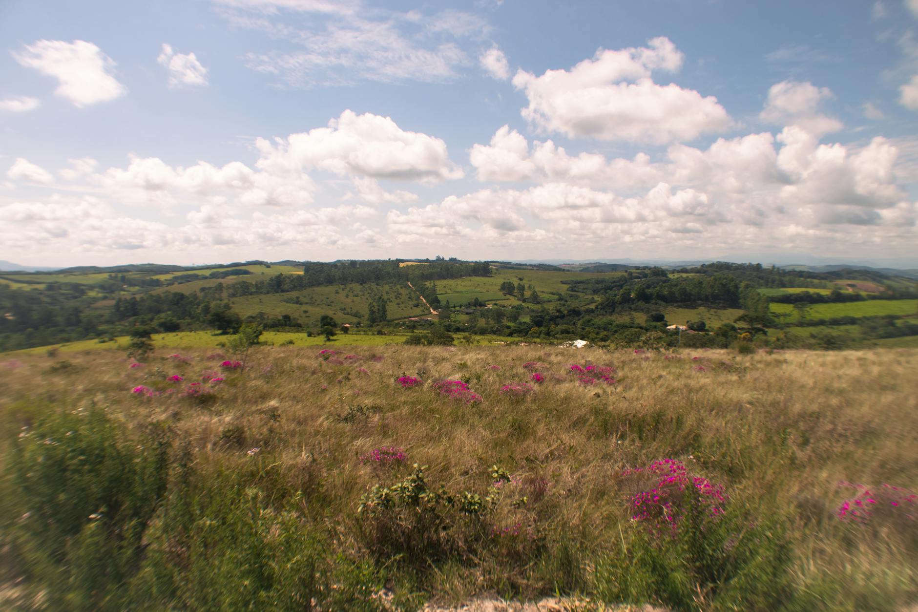 Genetic Factors—The Strongest Predictor of Disc Health