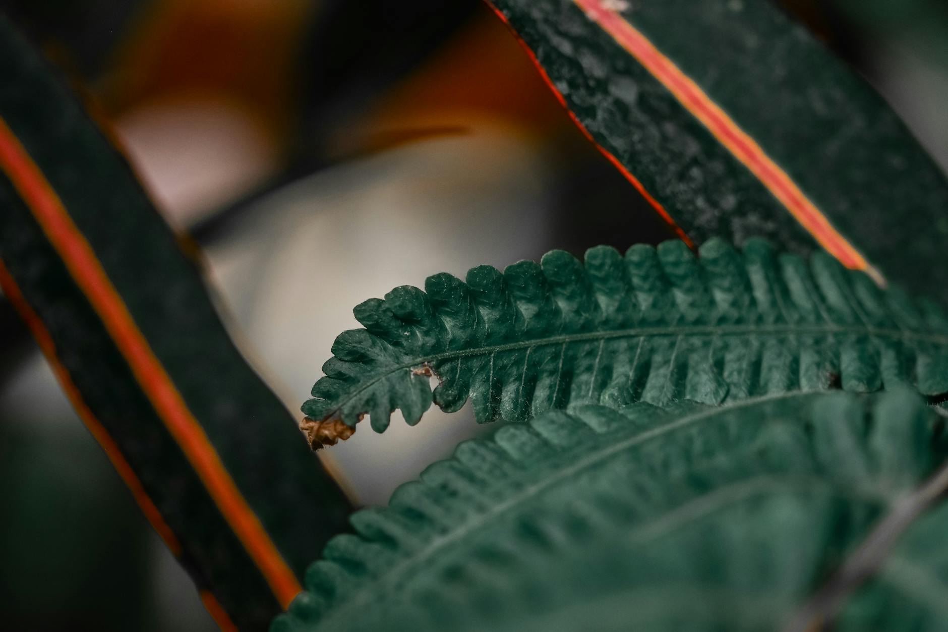 How Are Biologics Changing the Treatment of Juvenile Arthritis in 2025?