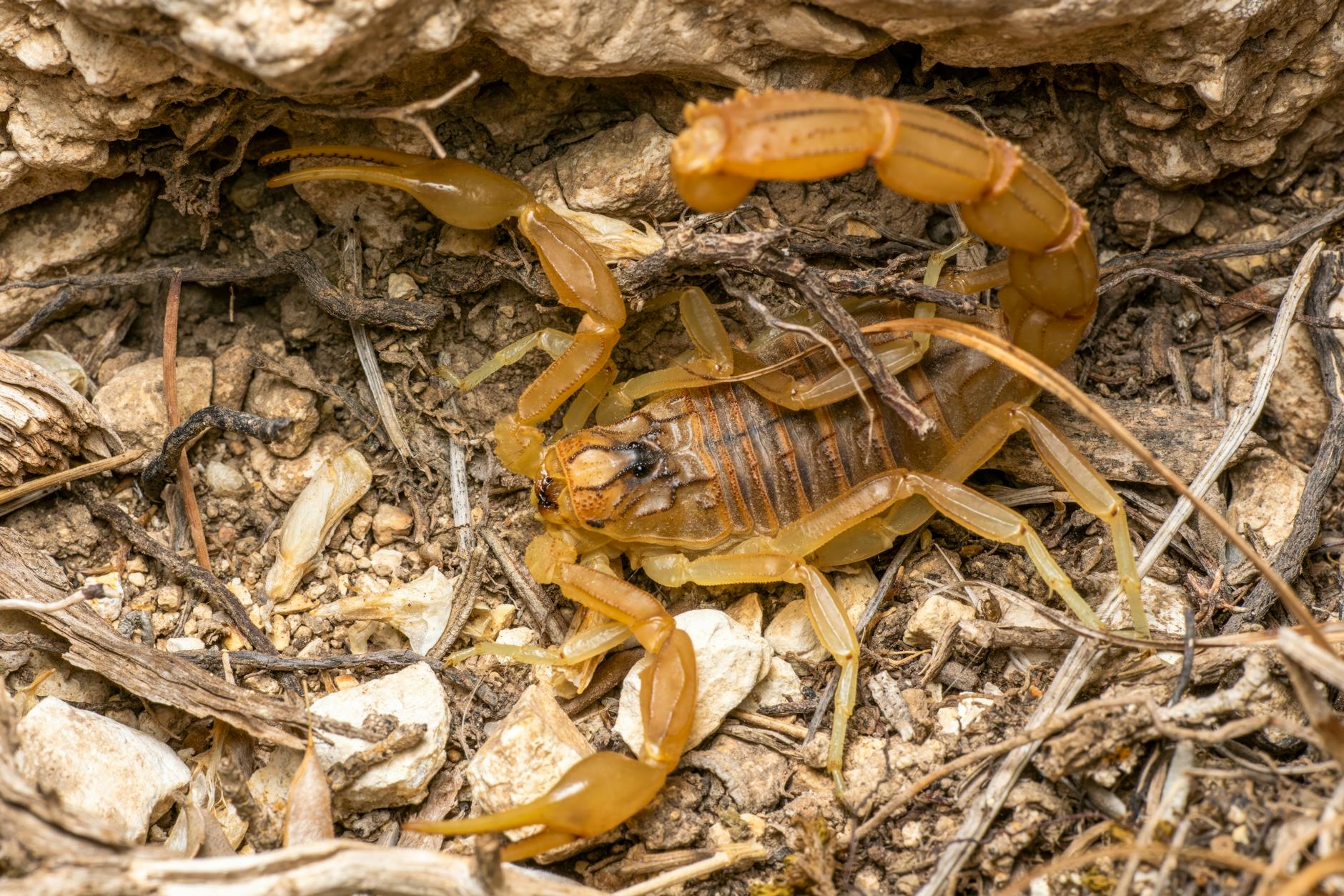 How Can AI Predict Dangerous Drug Interactions Before You Take Them?