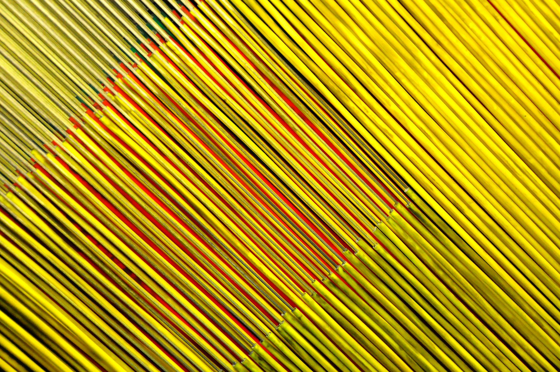 How CAR-T Cell Therapy Is Reshaping Outcomes for Children with Leukemia