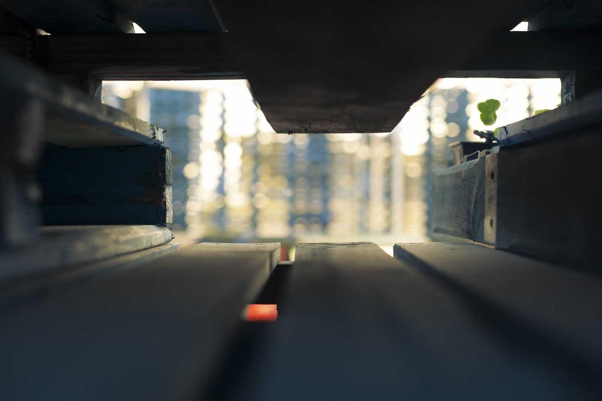 How Chronic Lower Back Pain Affects Daily Life and Function