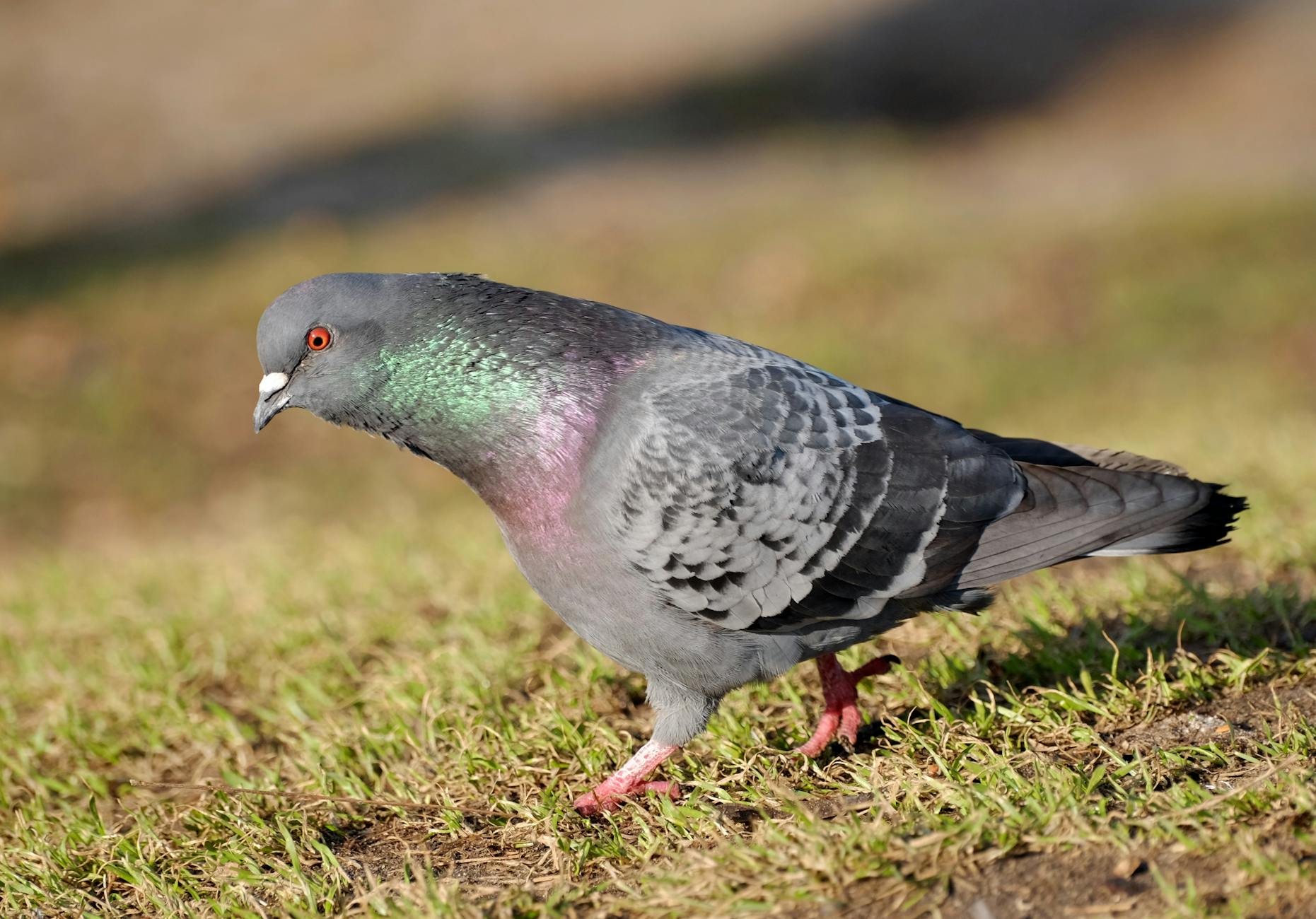 How Common Is Chronic Back Pain, and Why Do Doctors Want Patients to Know the Numbers?