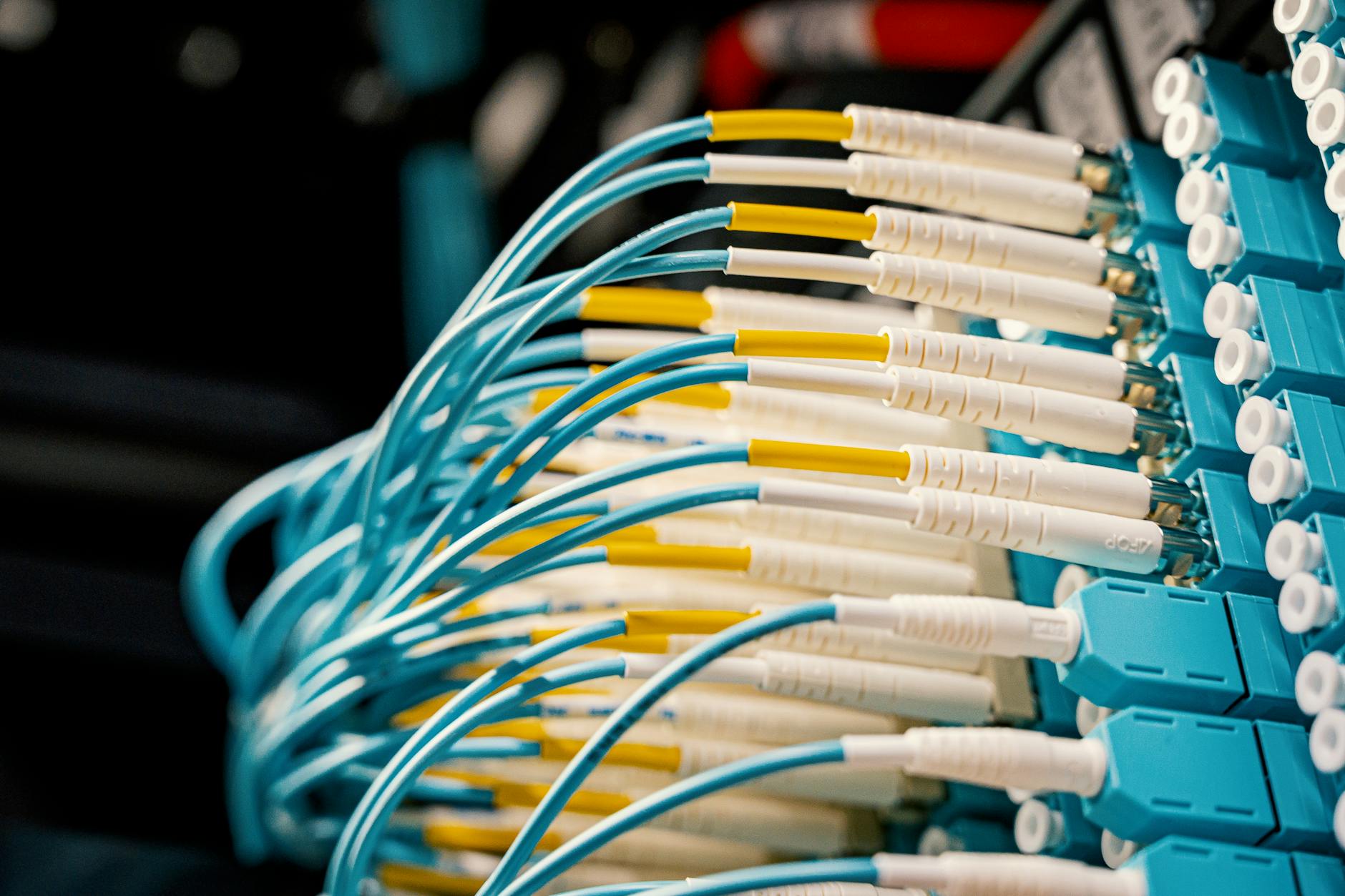 How Did Specific Carriers Adapt Their Networks?