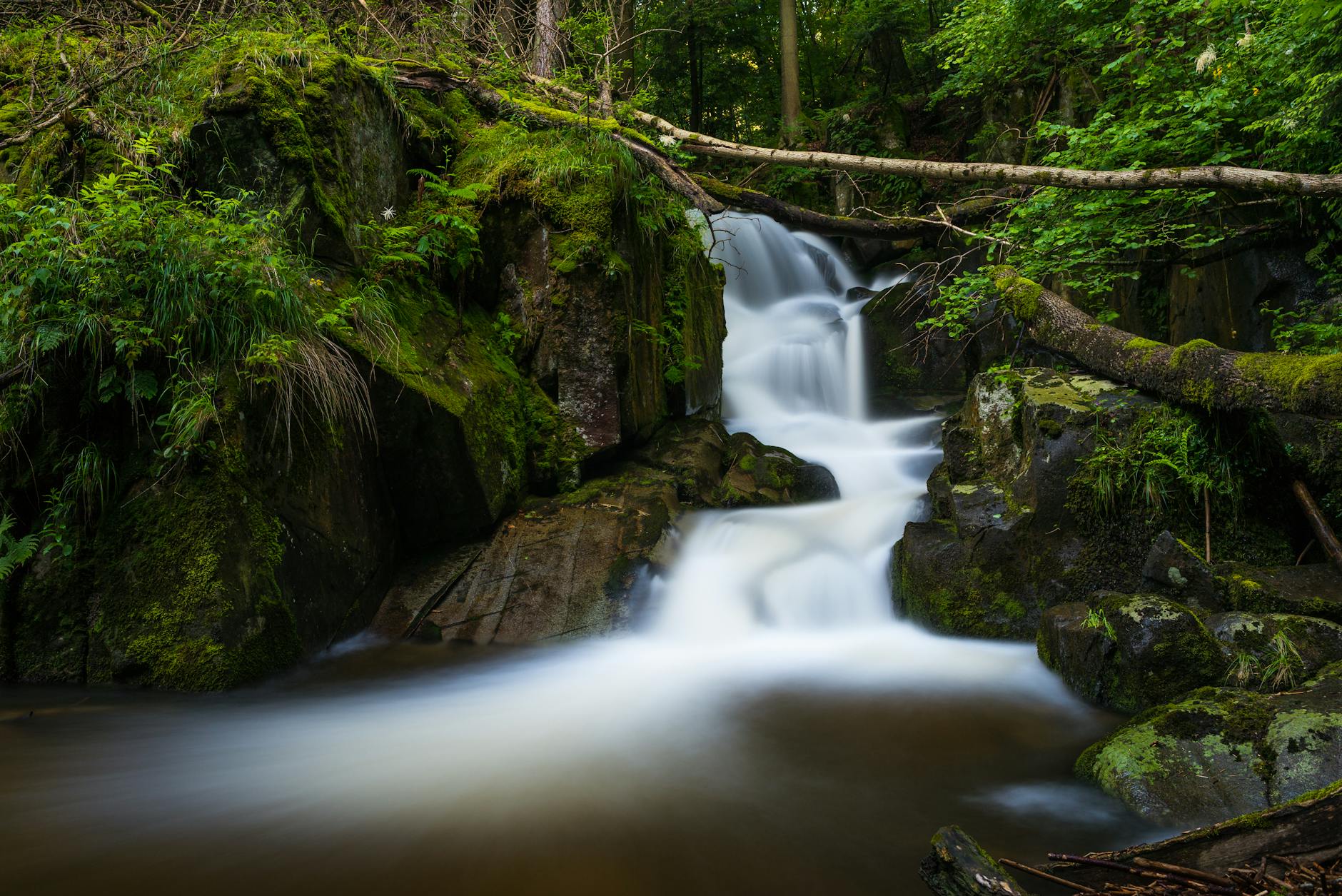 How Disorientation Becomes a Cascading Problem