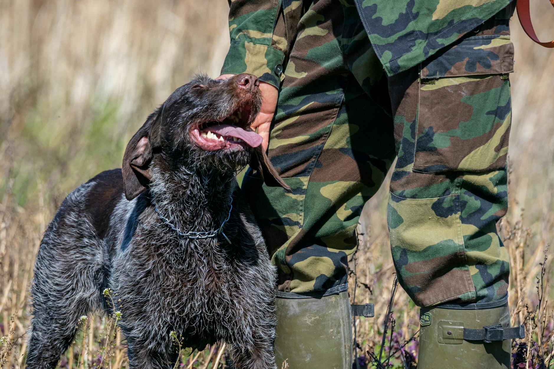 How Do Detection Training Programs Catch Alzheimer's Before Symptoms Appear?
