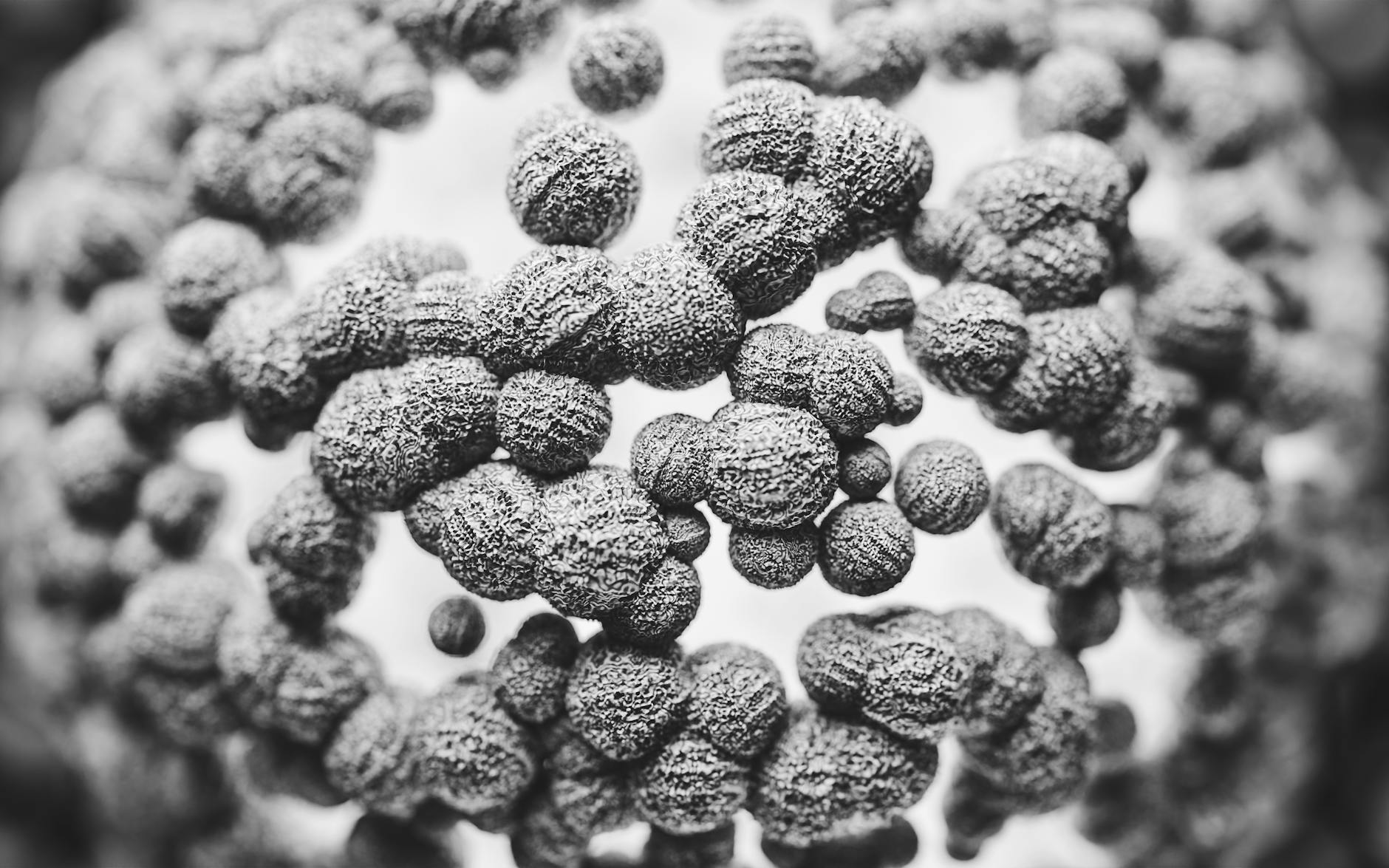 How Do Monoclonal Antibodies Block Chronic Pain Signaling at the Source?