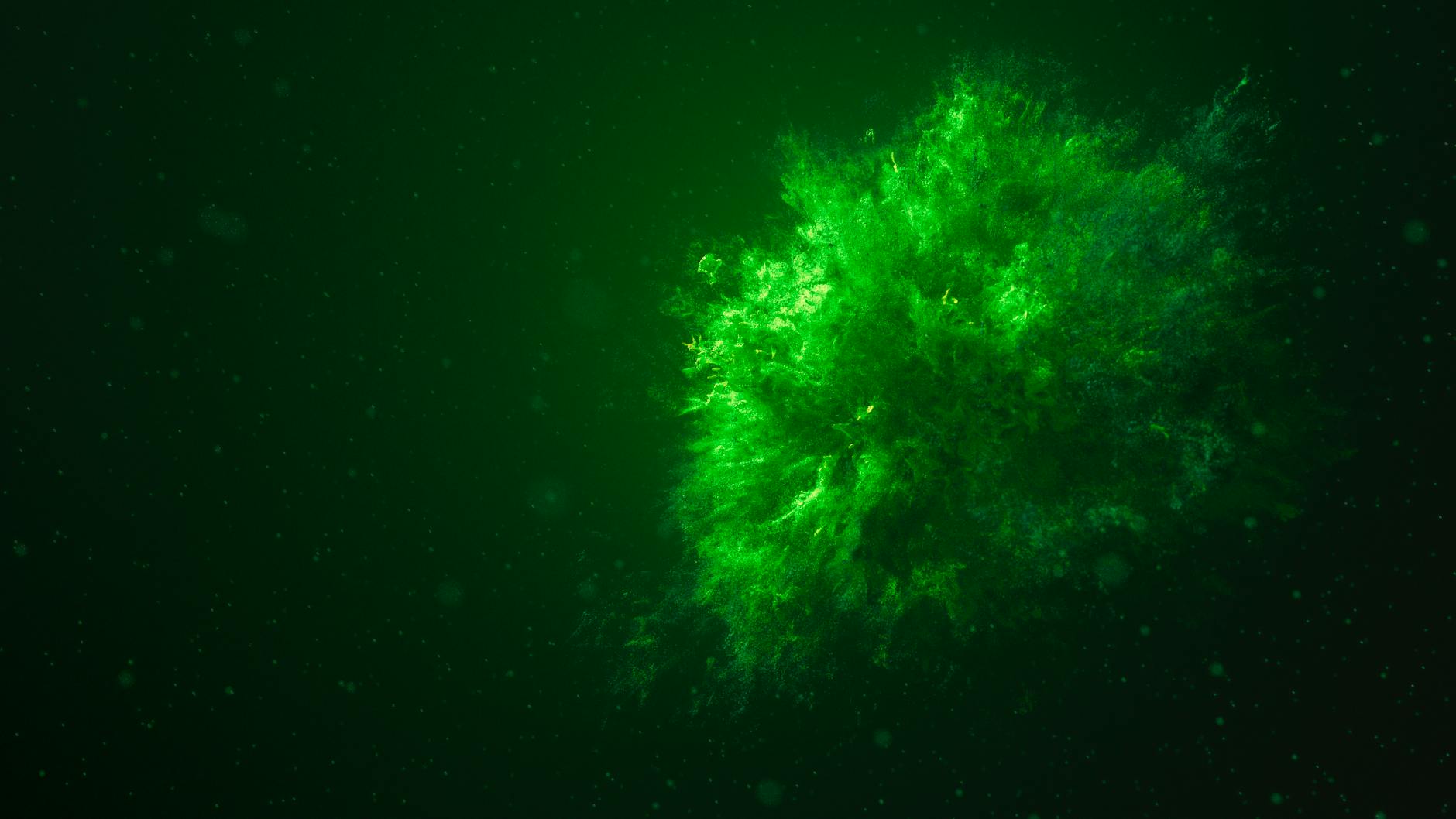 How Do Oligodendrocyte Precursor Cells Mount a Neuroprotective Response?