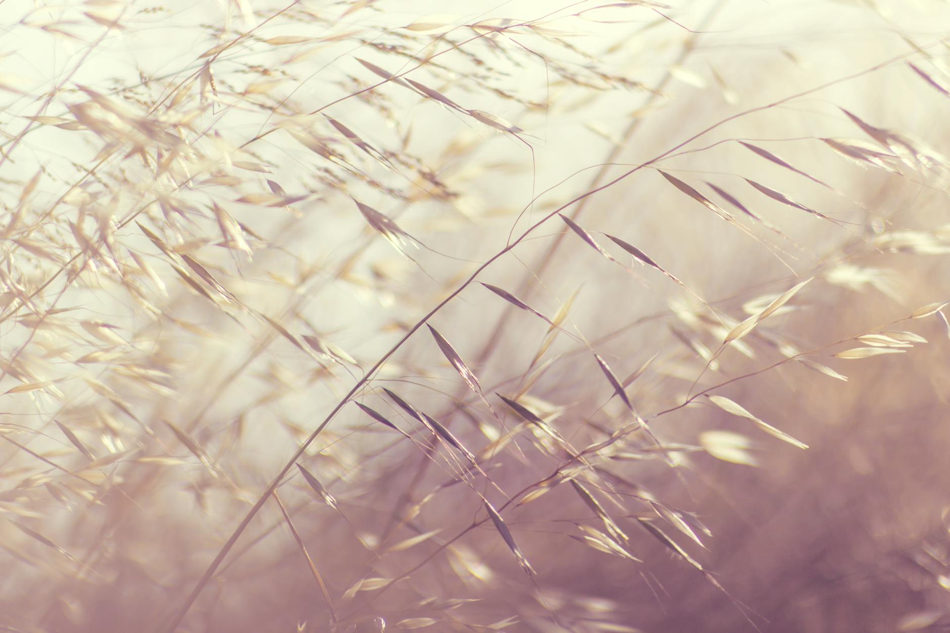 How Does Gentle Movement Accelerate Disc Healing?