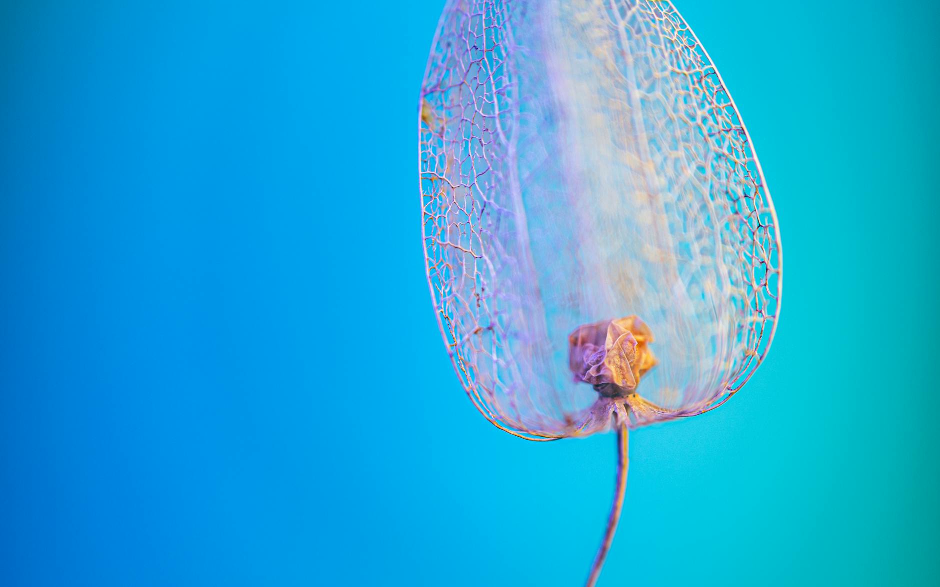 How Does the New Bladder Drug Mechanism Differ From Previous Options?