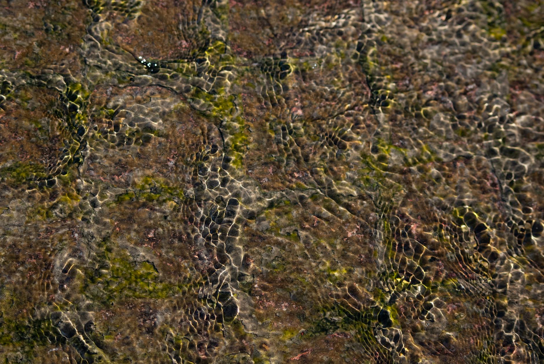 How Does Water Loss Cause Disc Degeneration?