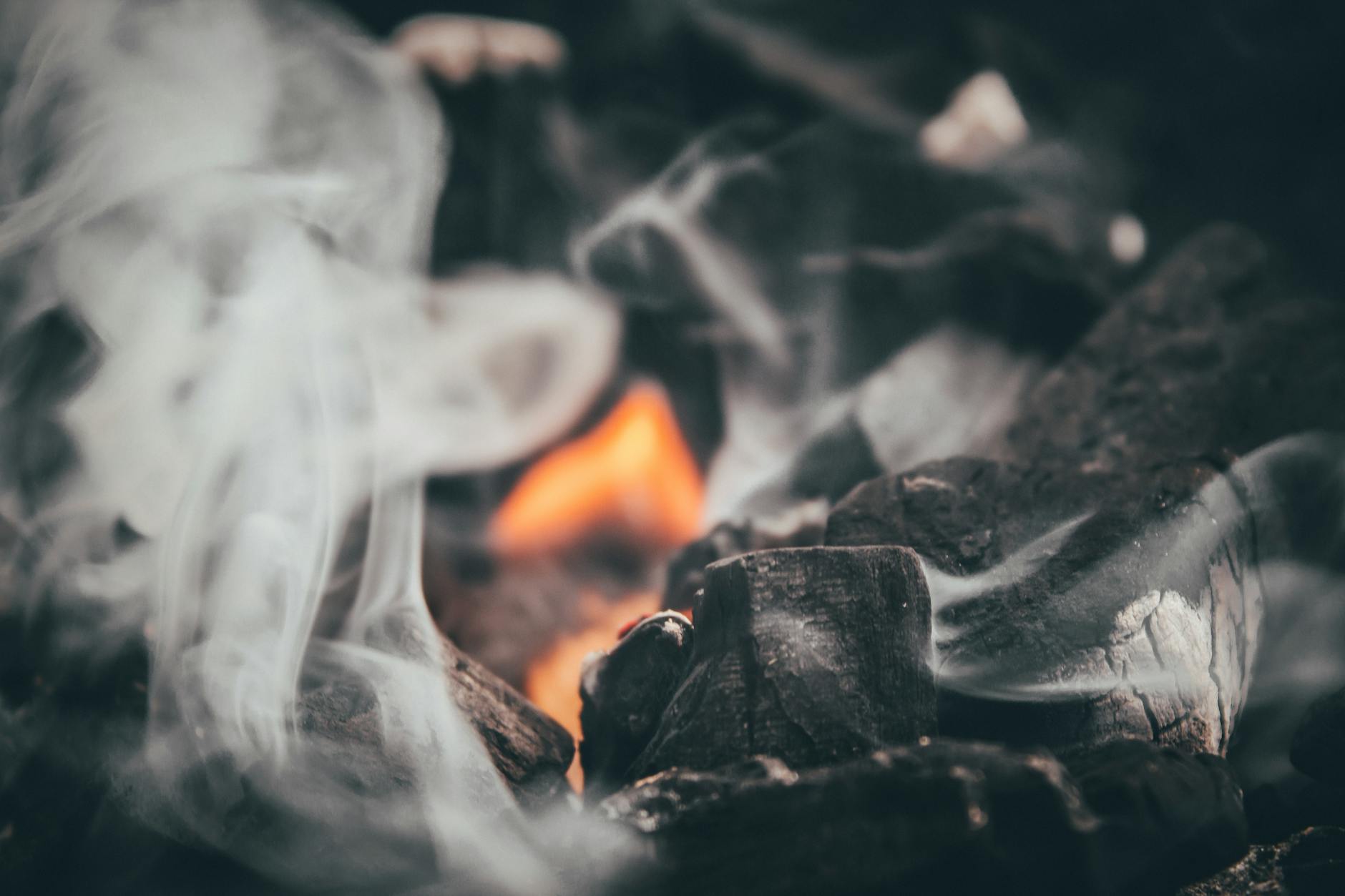 How Extreme Heat Shifts Everyday Behaviors and Social Patterns