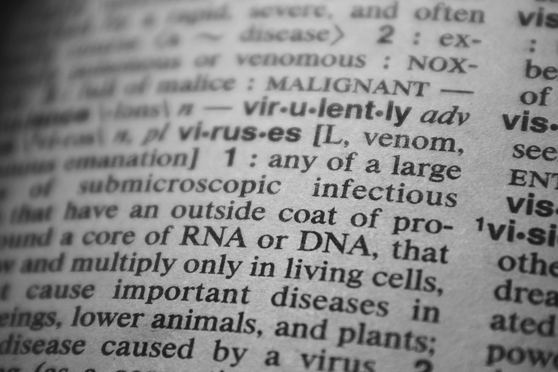 How Genetic Risk Factors Drive Alzheimer's Development