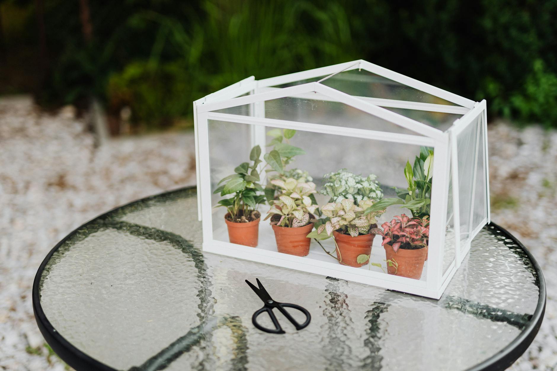 How Nerve Sensitization Becomes an Independent Source of Leg Pain