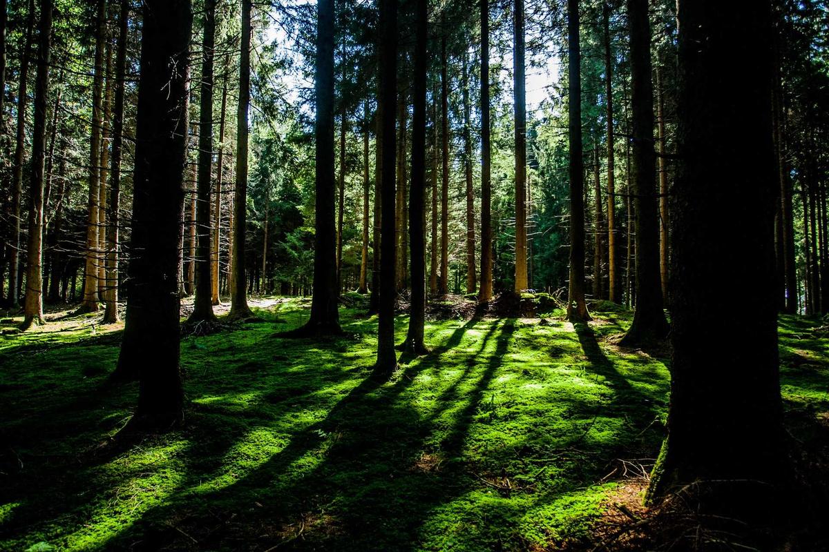 How Should You Plan Ahead for Funeral and End-of-Life Costs?