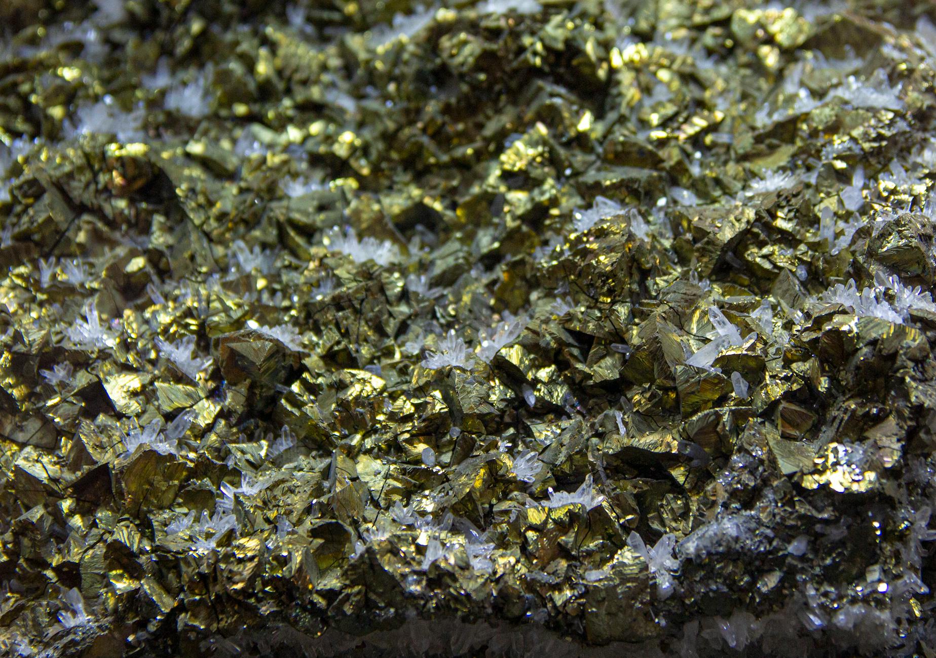 How the Core Actually Protects Your Spine