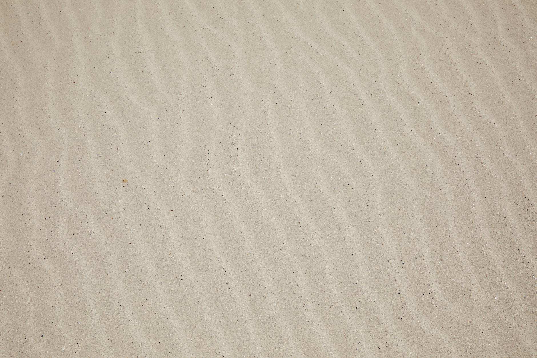 How the Trial Actually Unfolded