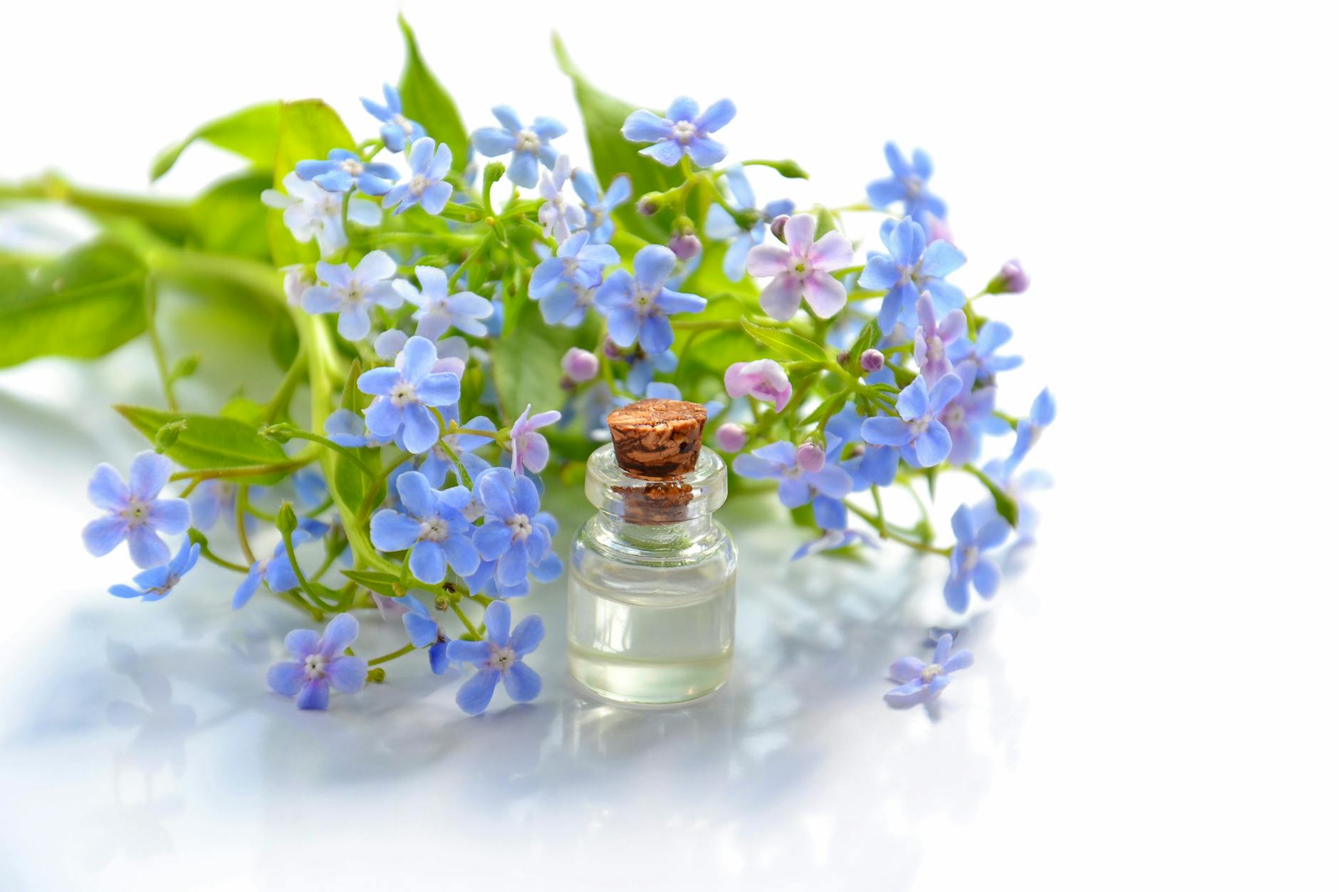 Identifying Fragrance Ingredients—What Terms Actually Hide Fragrance in Ingredient Lists