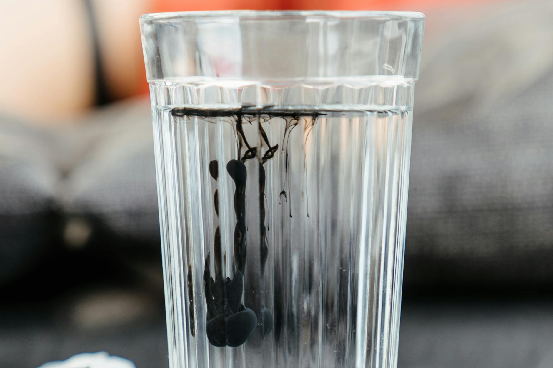Inflammation, Resorption, and the Surprising Role of the Body's Cleanup Crew