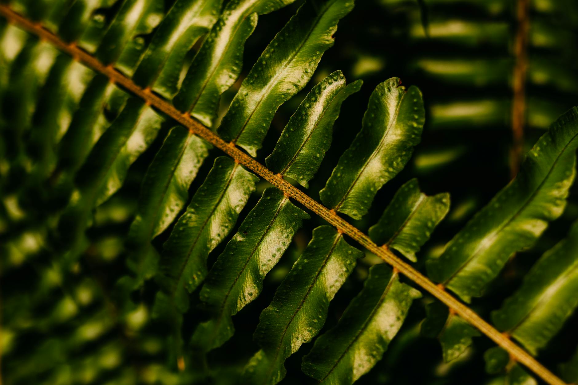 Intermittent Leave and Why It Matters for Dementia Caregivers