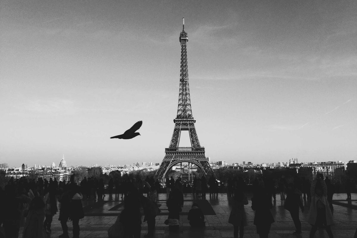 Limitations and Unanswered Questions in Oral Stroke Drug Research