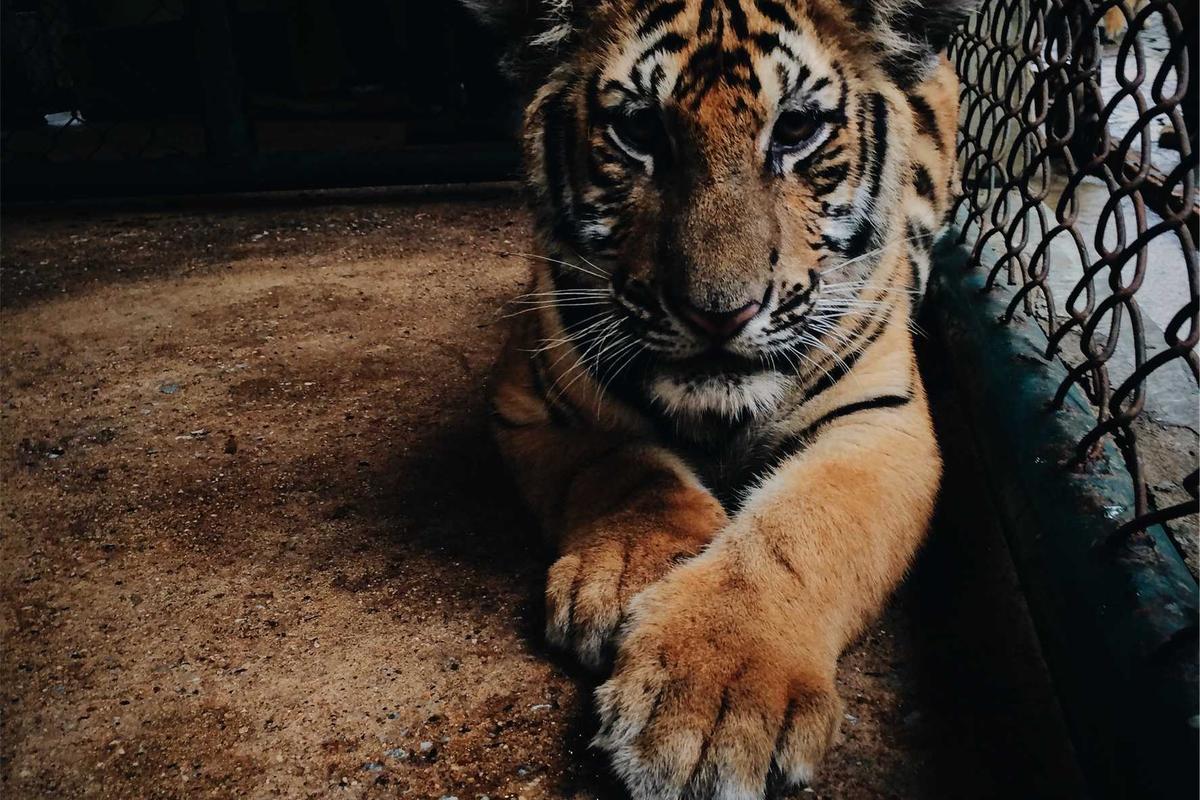 Limitations and When Stabilization Doesn't Work