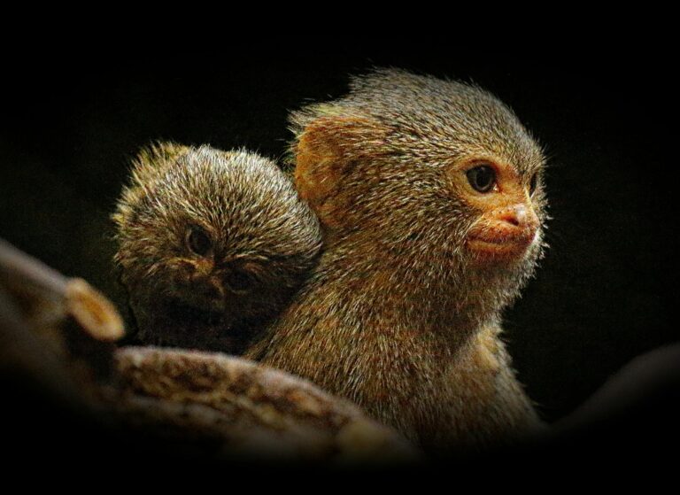 New Biologic for Eosinophilic Esophagitis — A Condition Finally Getting Attention - Featured image