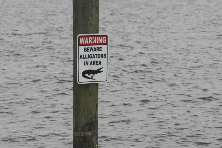 New FDA Warning: This Popular Supplement Is Not What You Think It Is - Featured image