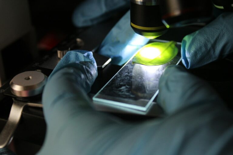 New research explores unexpected way to identify memory decline - Featured image