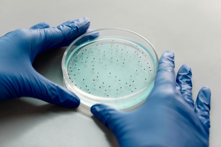 New research links anti-aging compounds to brain protection - Featured image