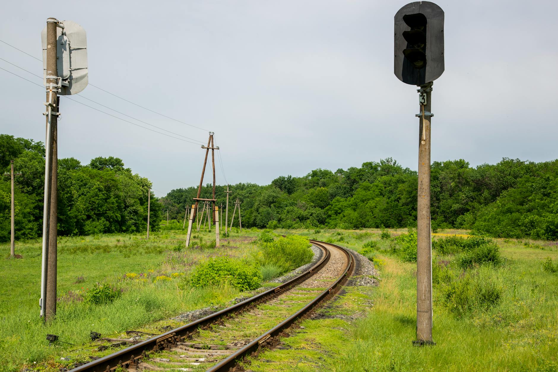 Numbness, Tingling, and the Nerve Signals You Should Not Ignore