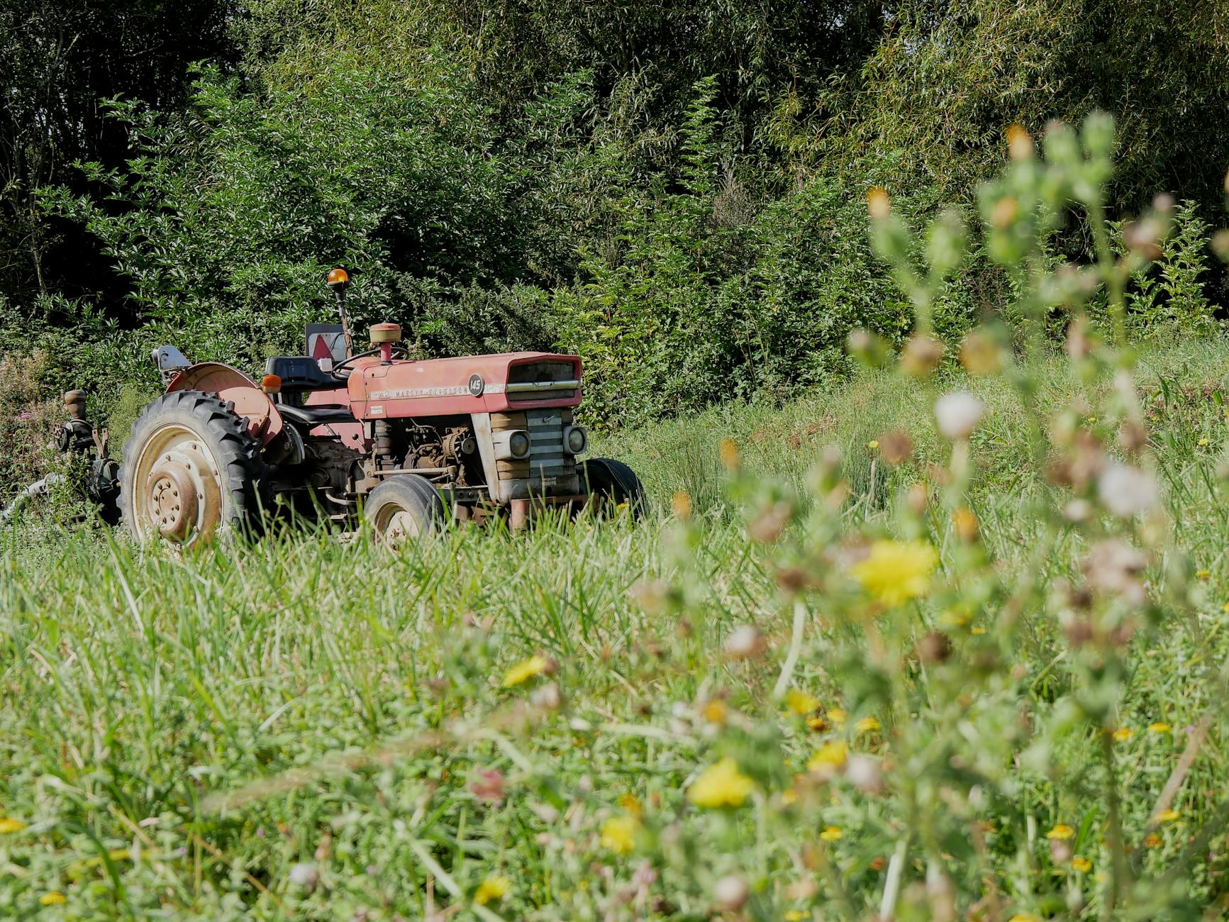 Prothrombin Complex Concentrate — The Workhorse Alternative in U.S. Emergency Rooms