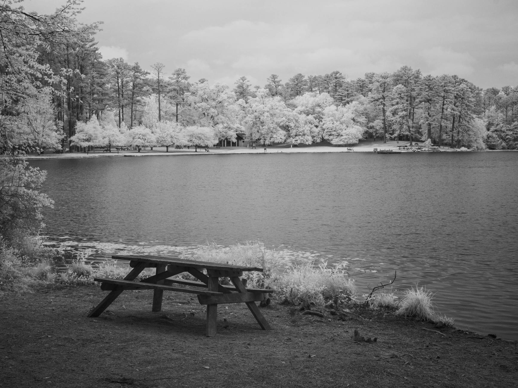 Red and Near-Infrared Light Therapy — An Emerging Alternative