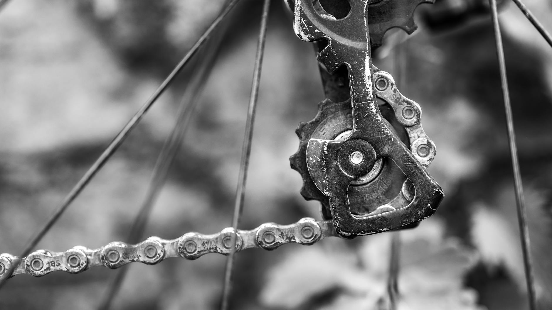 Serotonylation — A New Mechanism Linking Serotonin to Neurodegeneration