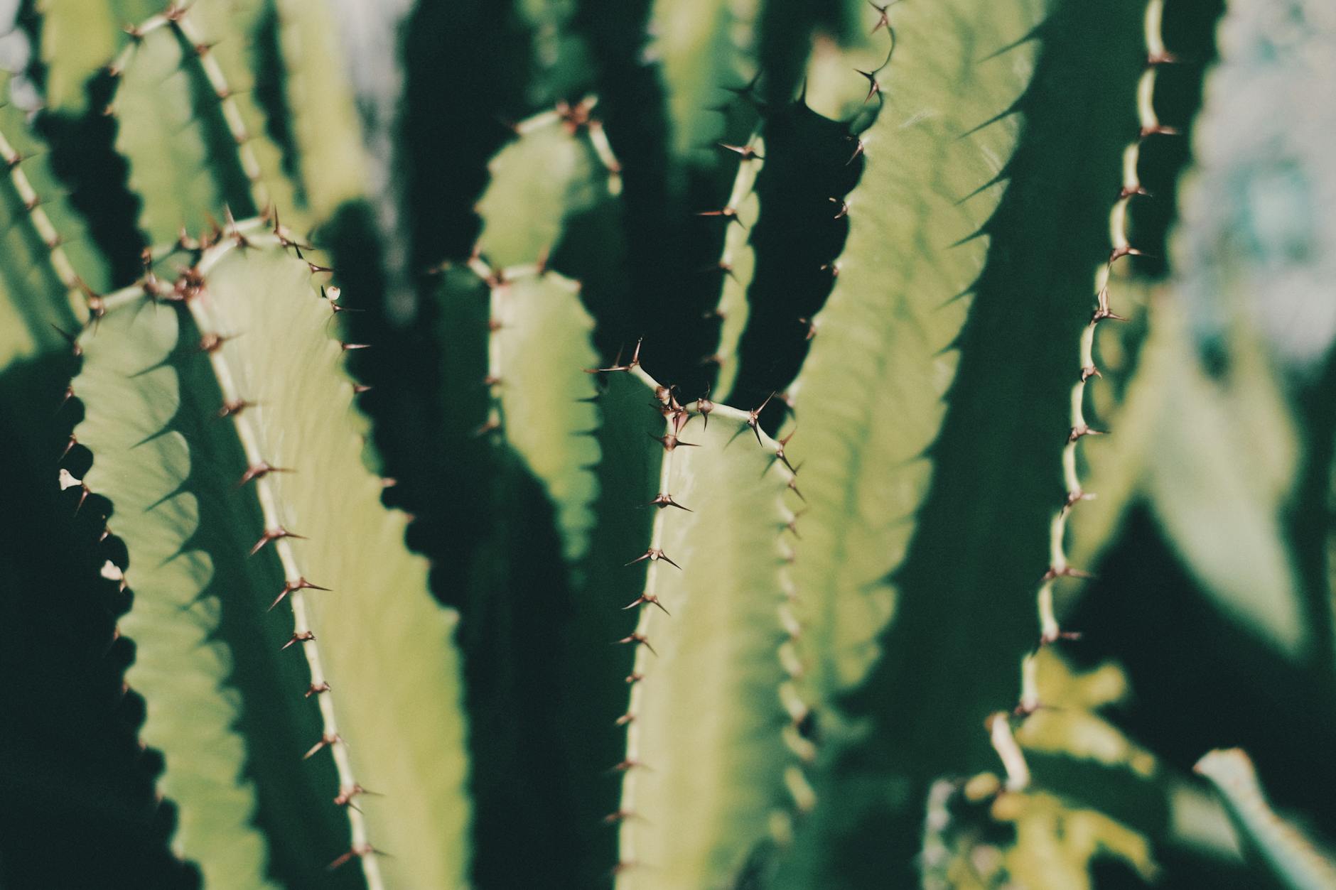 Sharp or Aching Back Pain Triggered by Movement and Bending